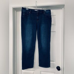 Lane Bryant Mid-Rise Essential Stretch Straight Leg Jeans Size 20S